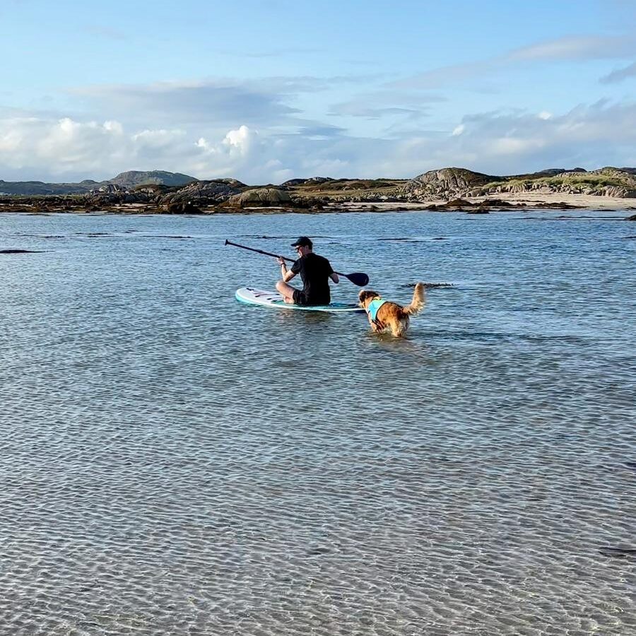 A man on a paddle board with a dog chasing through the surf behind him