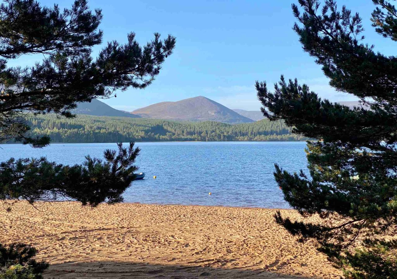 Loch Morlich sandy beach and clear blue lake in the Cairngorms National Park, Scotland, framed by pine trees with forested mountains under a bright blue sky.